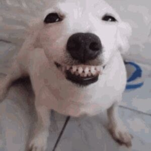 Share a smile. 😁❤️